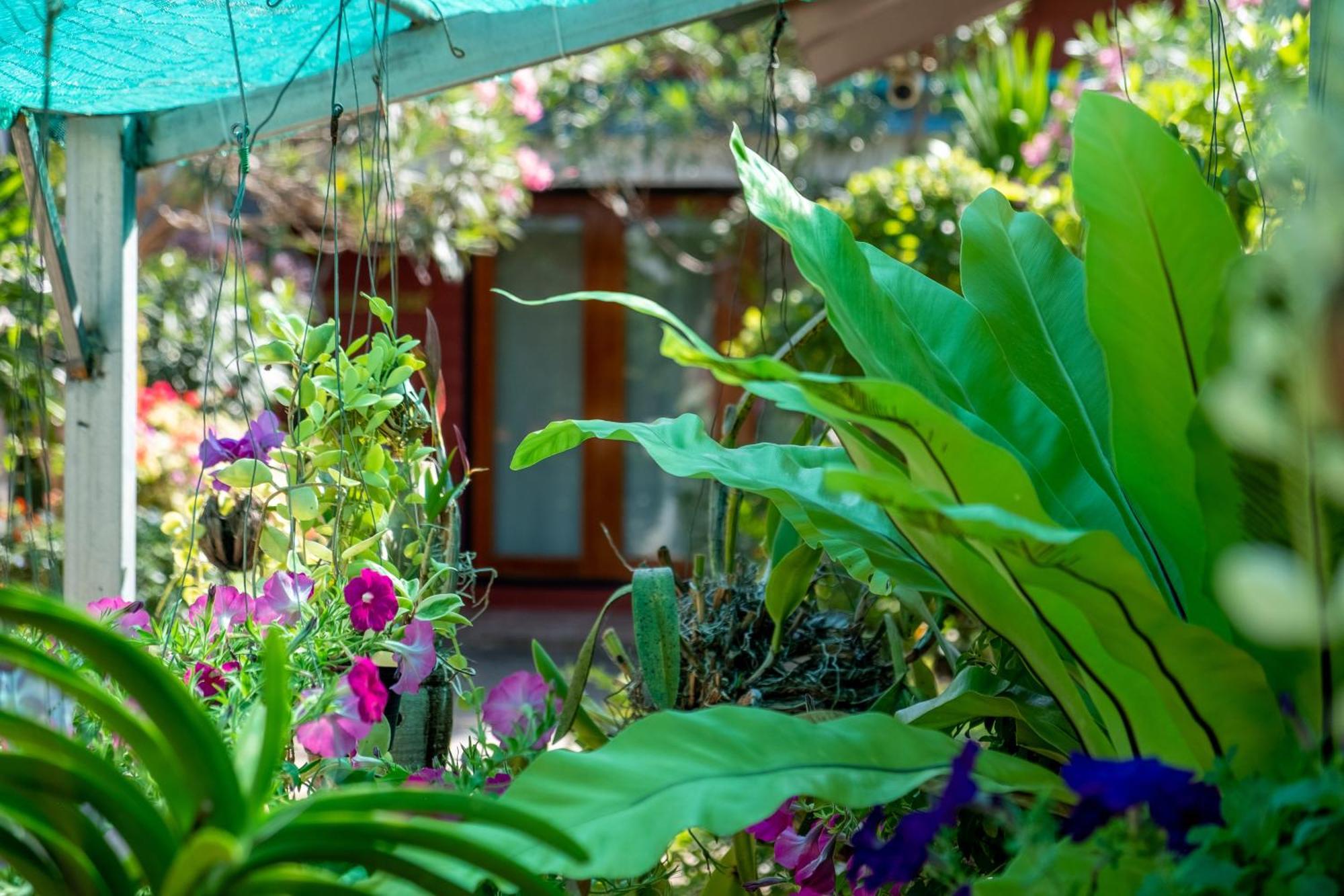 Thai Smile Bungalows Ko Lanta Zewnętrze zdjęcie